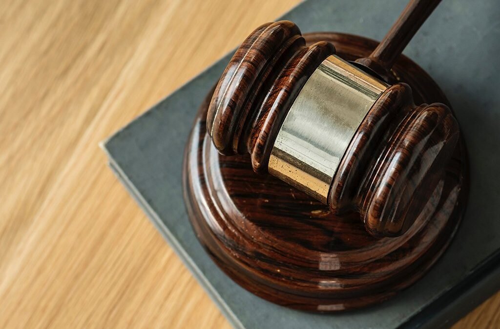 What does the Civil Litigation process involve?